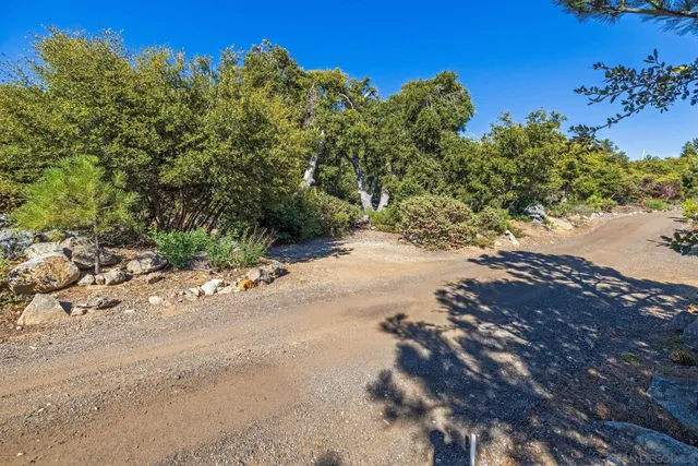a view of a road with a yard