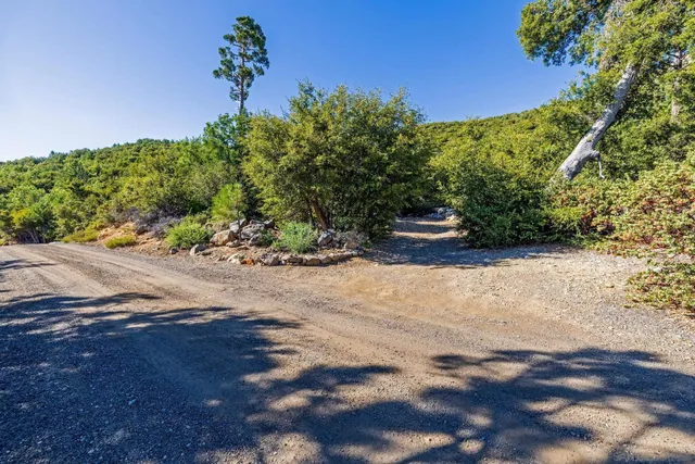a view of a street with a yard