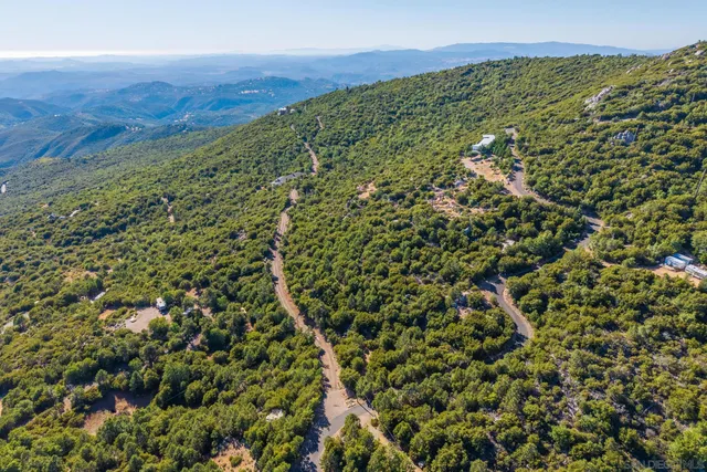 view of a green field with lots of bushes