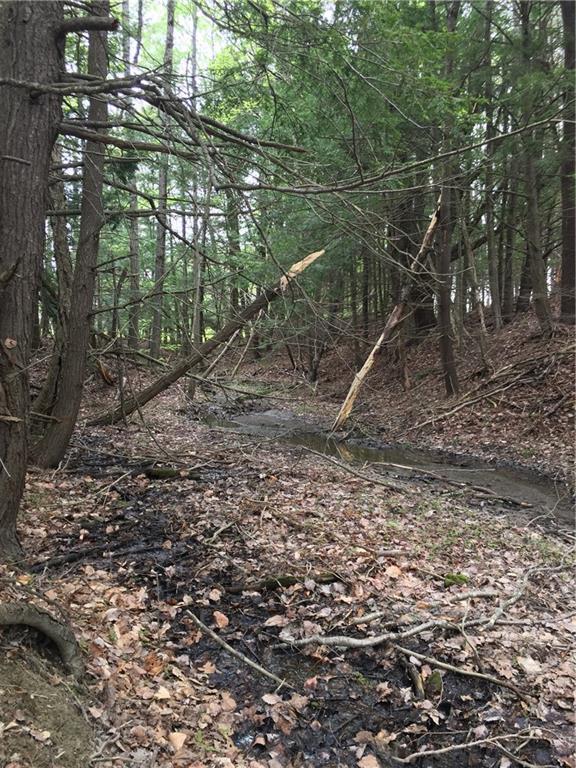 Lot 80 Augusta Road Topsham, ME 04086 - Photo 6 of 26 Photo