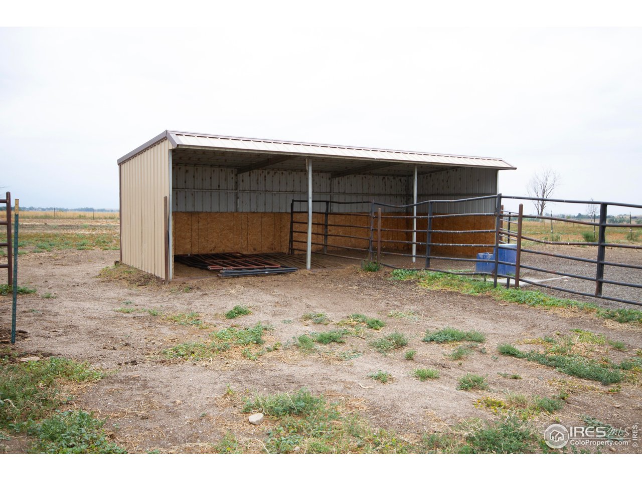 13168 North 95th Street Longmont, CO 80504 - Photo 18 of 25