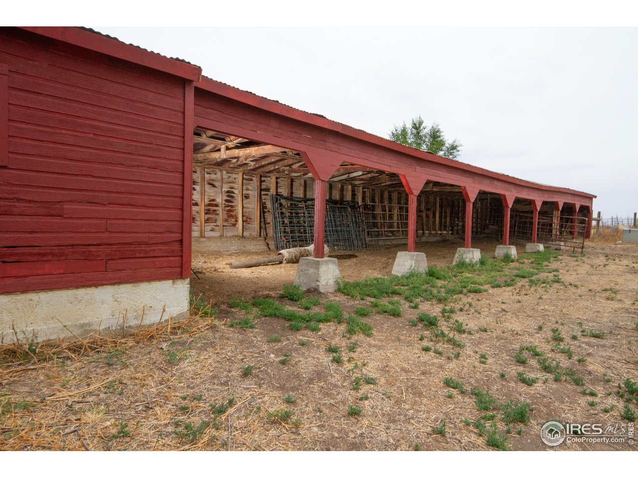 13168 North 95th Street Longmont, CO 80504 - Photo 4 of 25