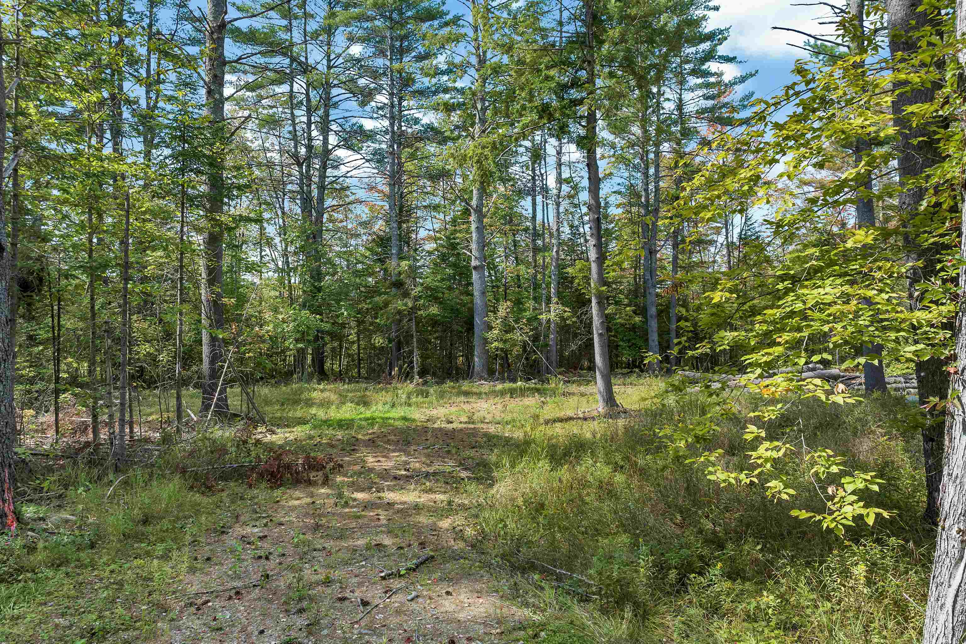 Leighton Corner Road Ossipee, NH 03864 - Photo 4 of 27