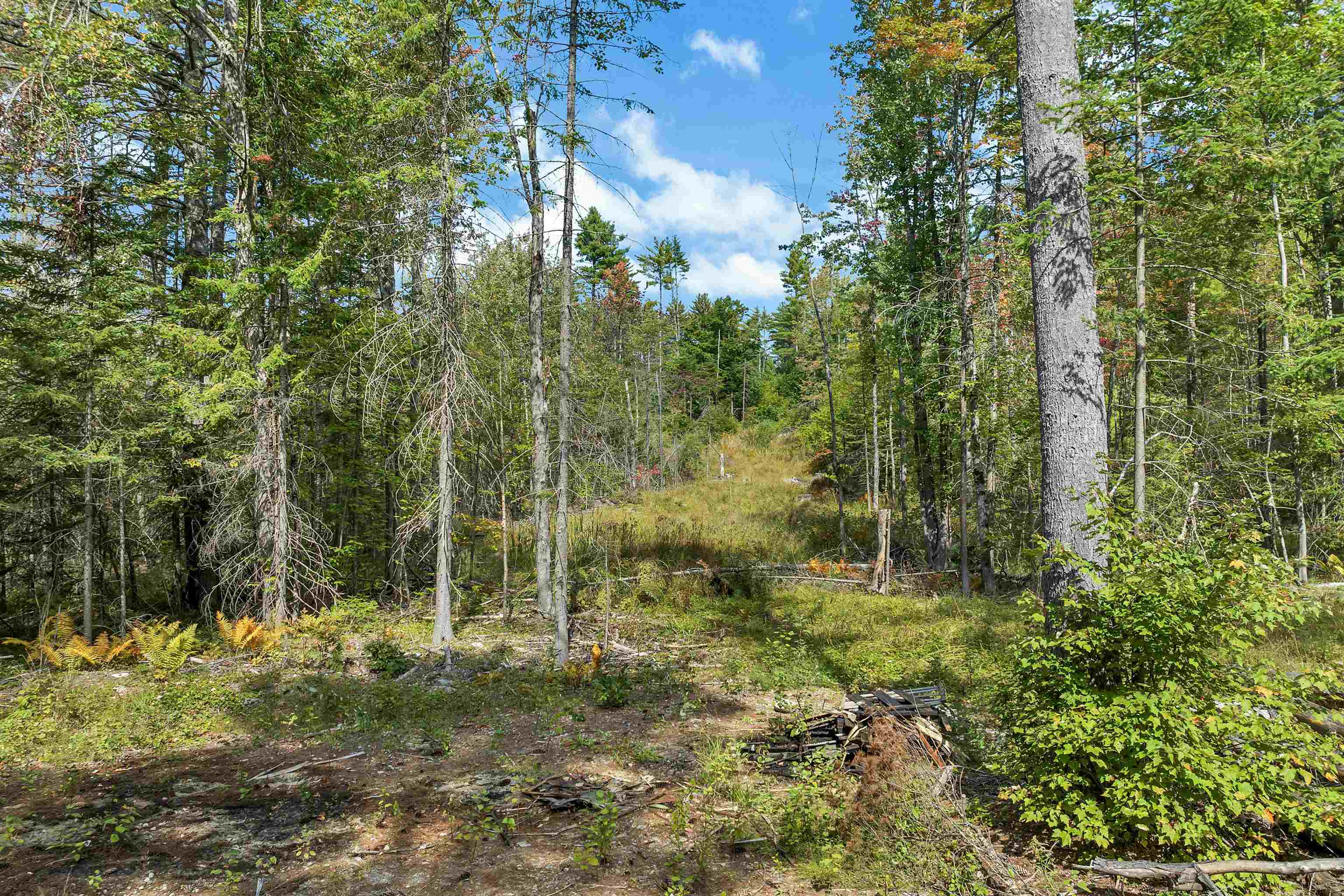Leighton Corner Road Ossipee, NH 03864 - Photo 6 of 27