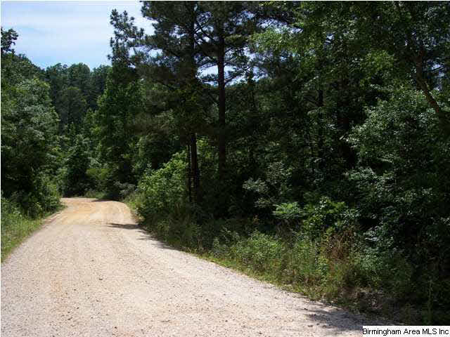 Narrows Road, Unit 168 Remlap, AL 35133 - Photo 6 of 21