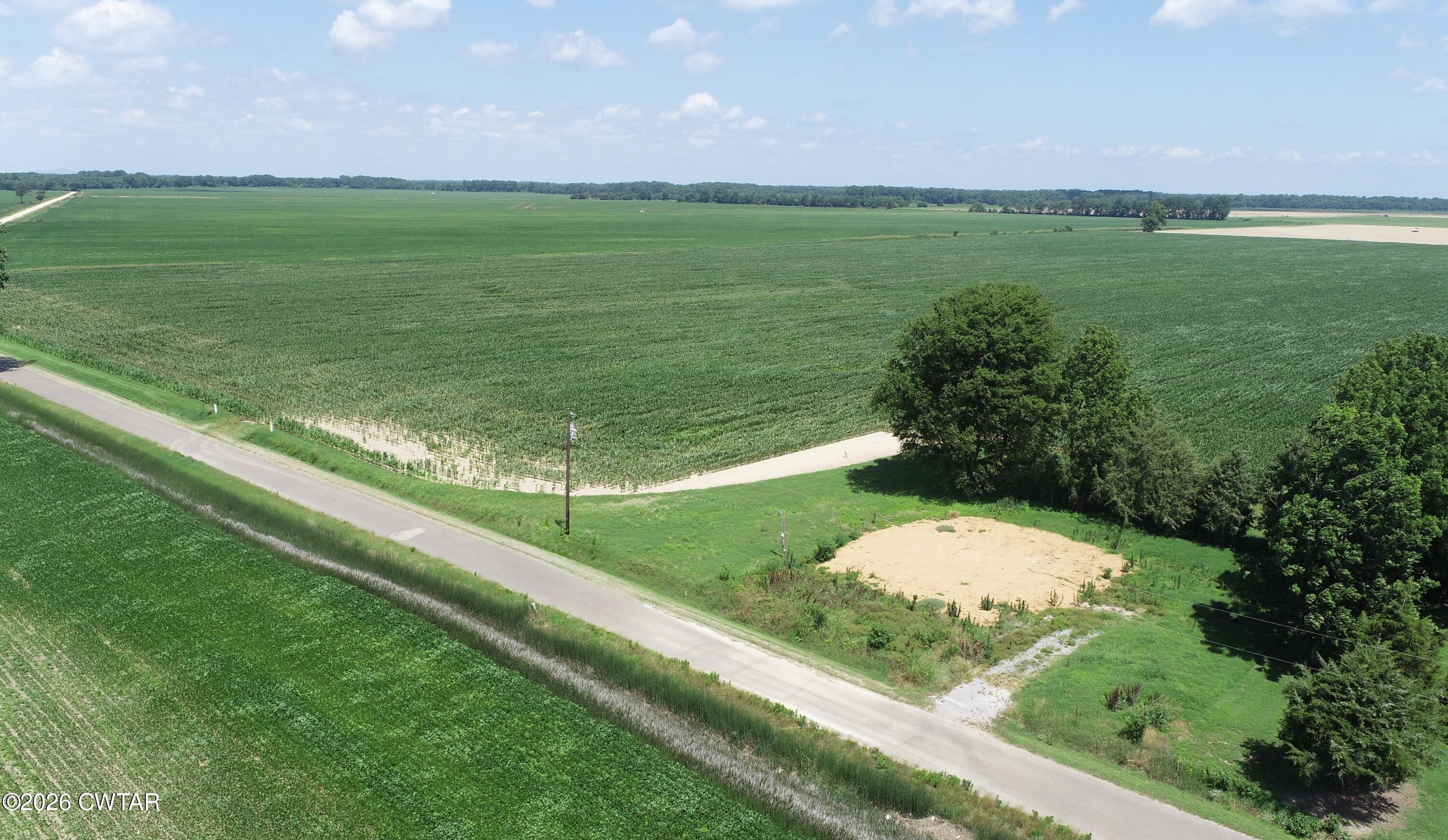 694 Boothspoint Road Lenox, TN 38047 - Photo 5 of 5 DJI_0228