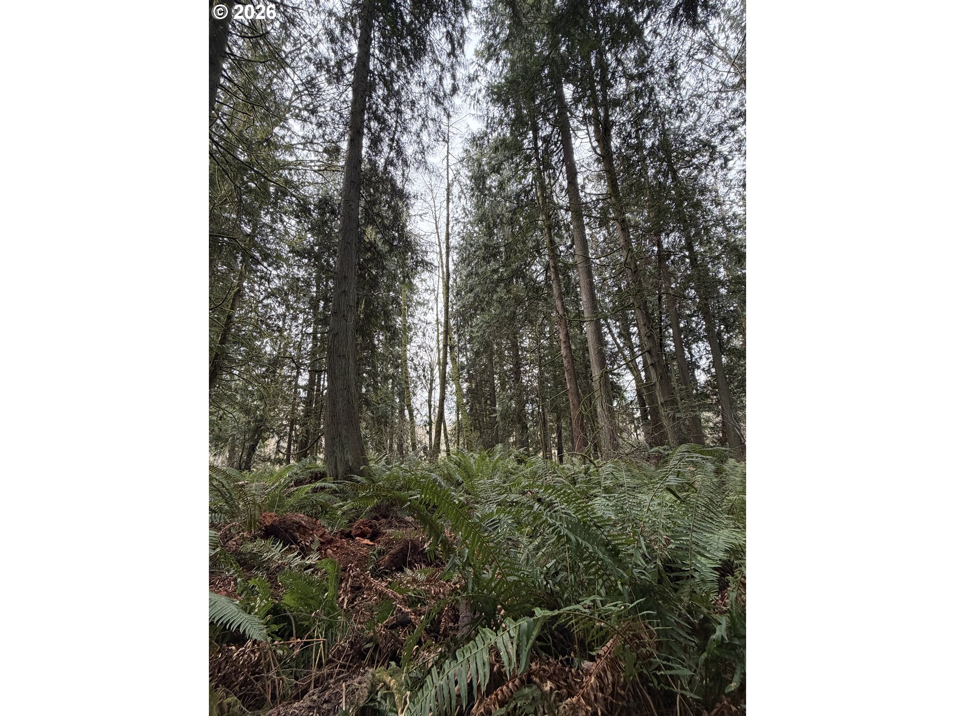 Meserve Road Rainier, OR 97048 - Photo 12 of 16