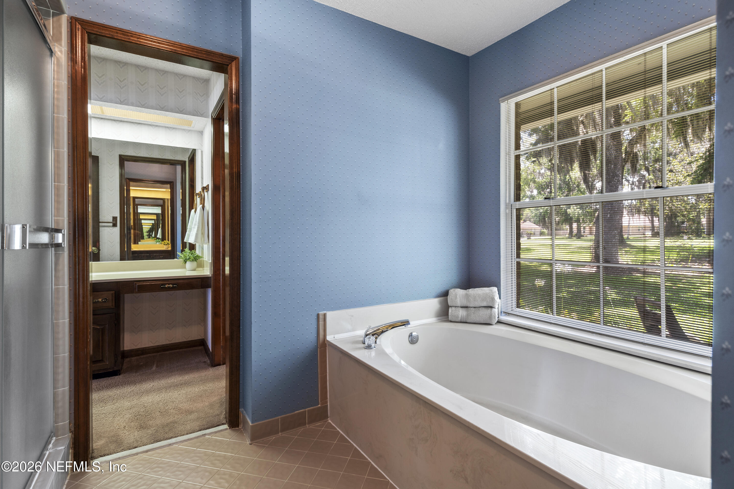 3154 Nautilus Road Middleburg, FL 32068 - Photo 34 of 61 Garden Tub