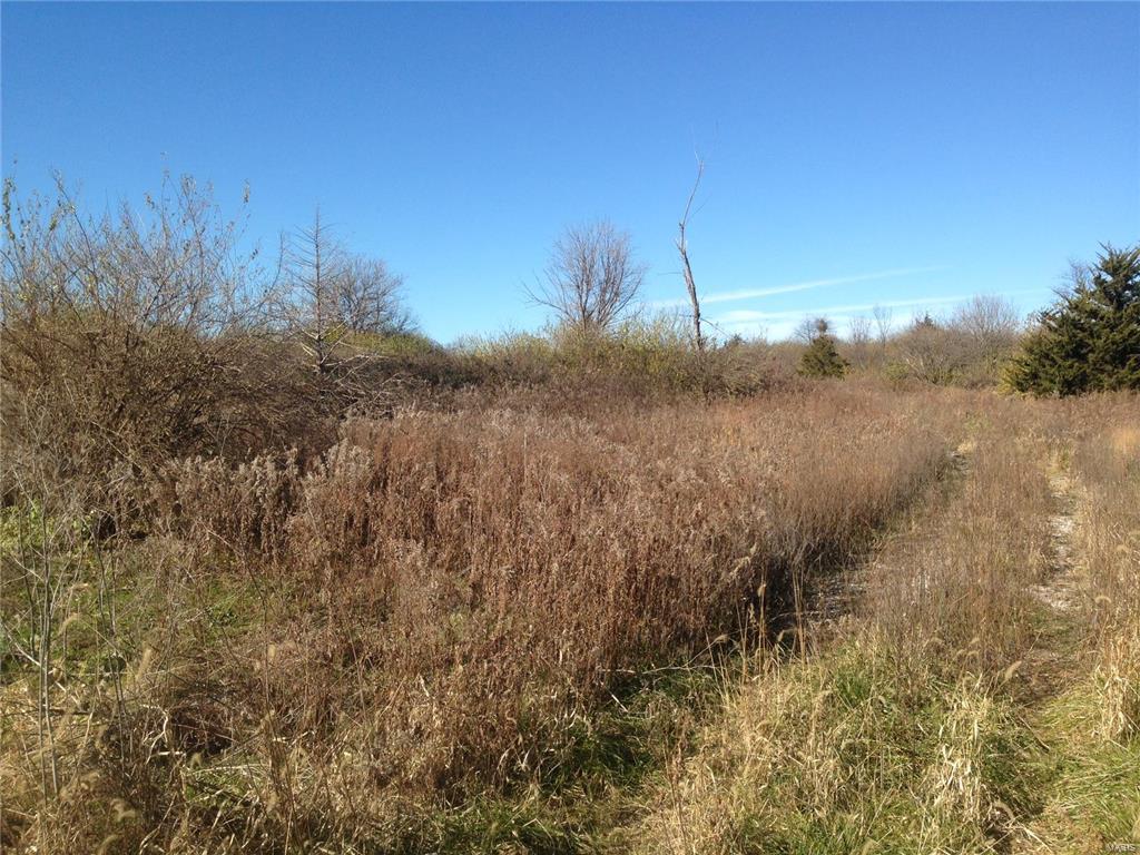 0 Old Rte 66 Staunton, IL 62088 - Photo 3 of 9