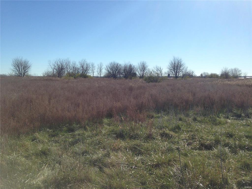 0 Old Rte 66 Staunton, IL 62088 - Photo 8 of 9