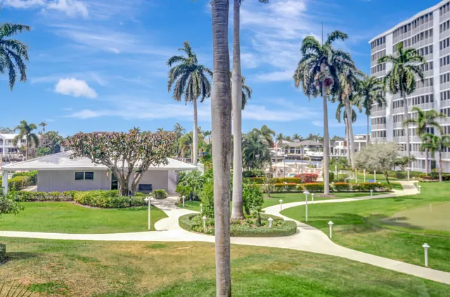 a view of a palm trees in front of a apartment