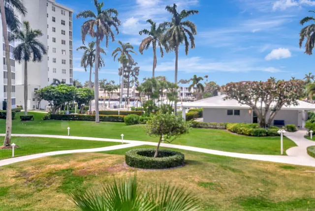 a garden with palm trees