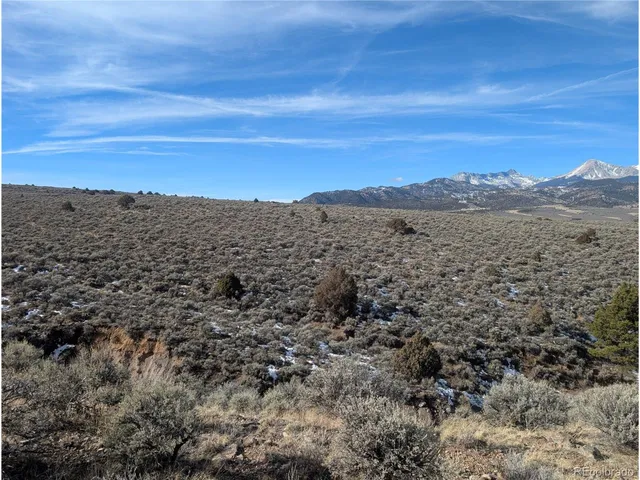 a view of a bunch of trees in a field