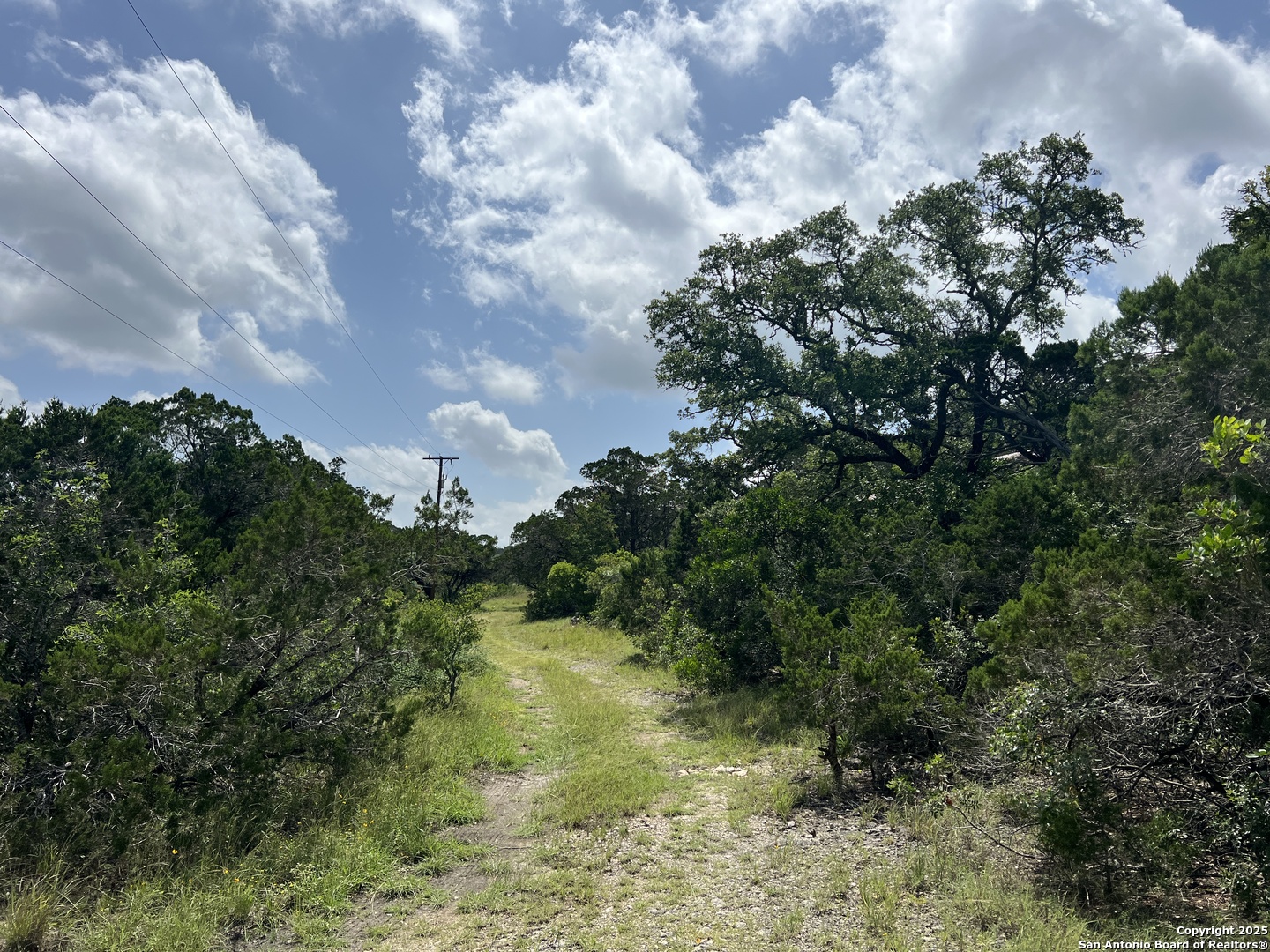 19031 Bandera Road Helotes, TX 78023 - Photo 11 of 37 a view of a yard