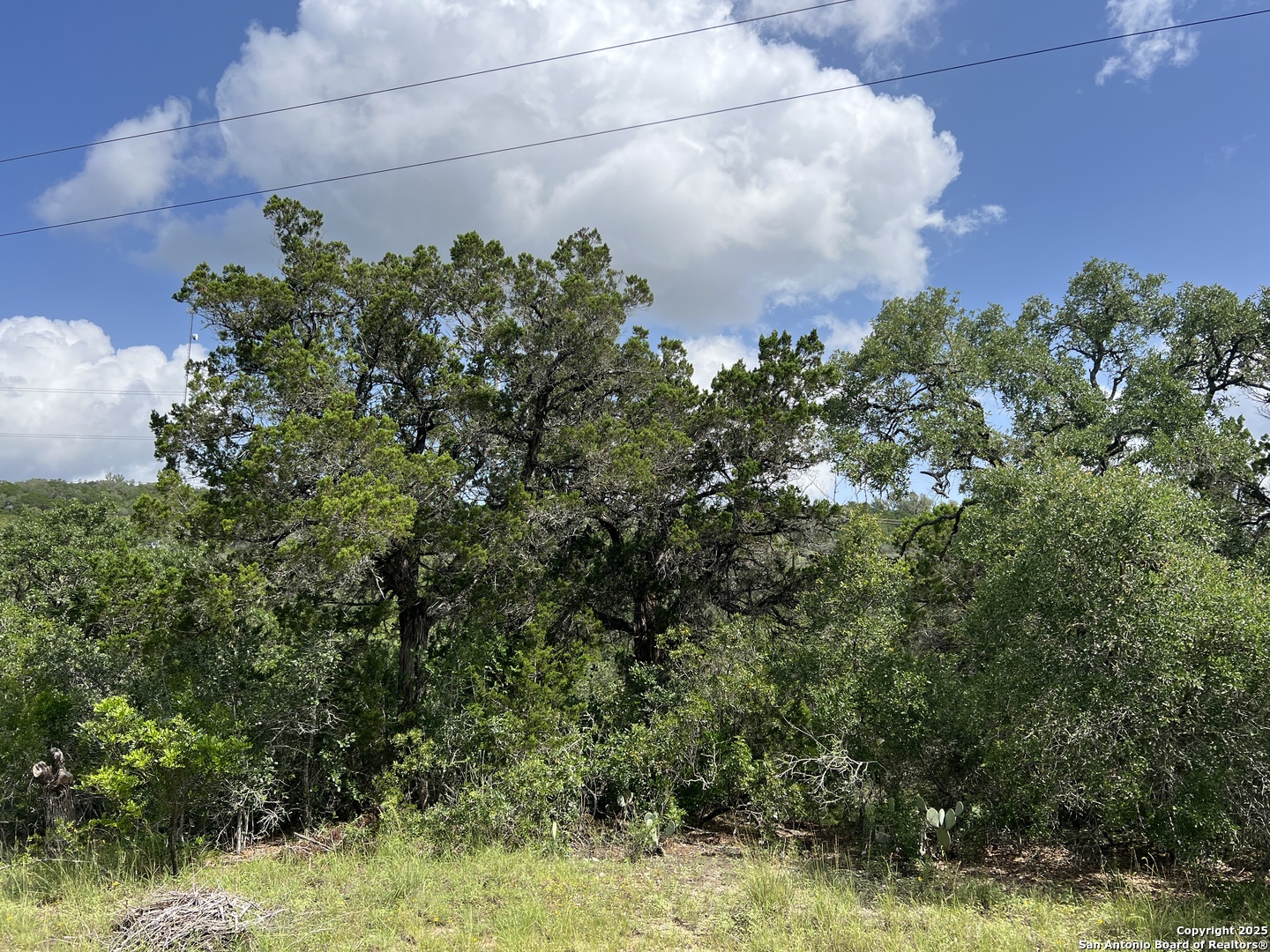 19031 Bandera Road Helotes, TX 78023 - Photo 14 of 37 a backyard of a house with lots of green space