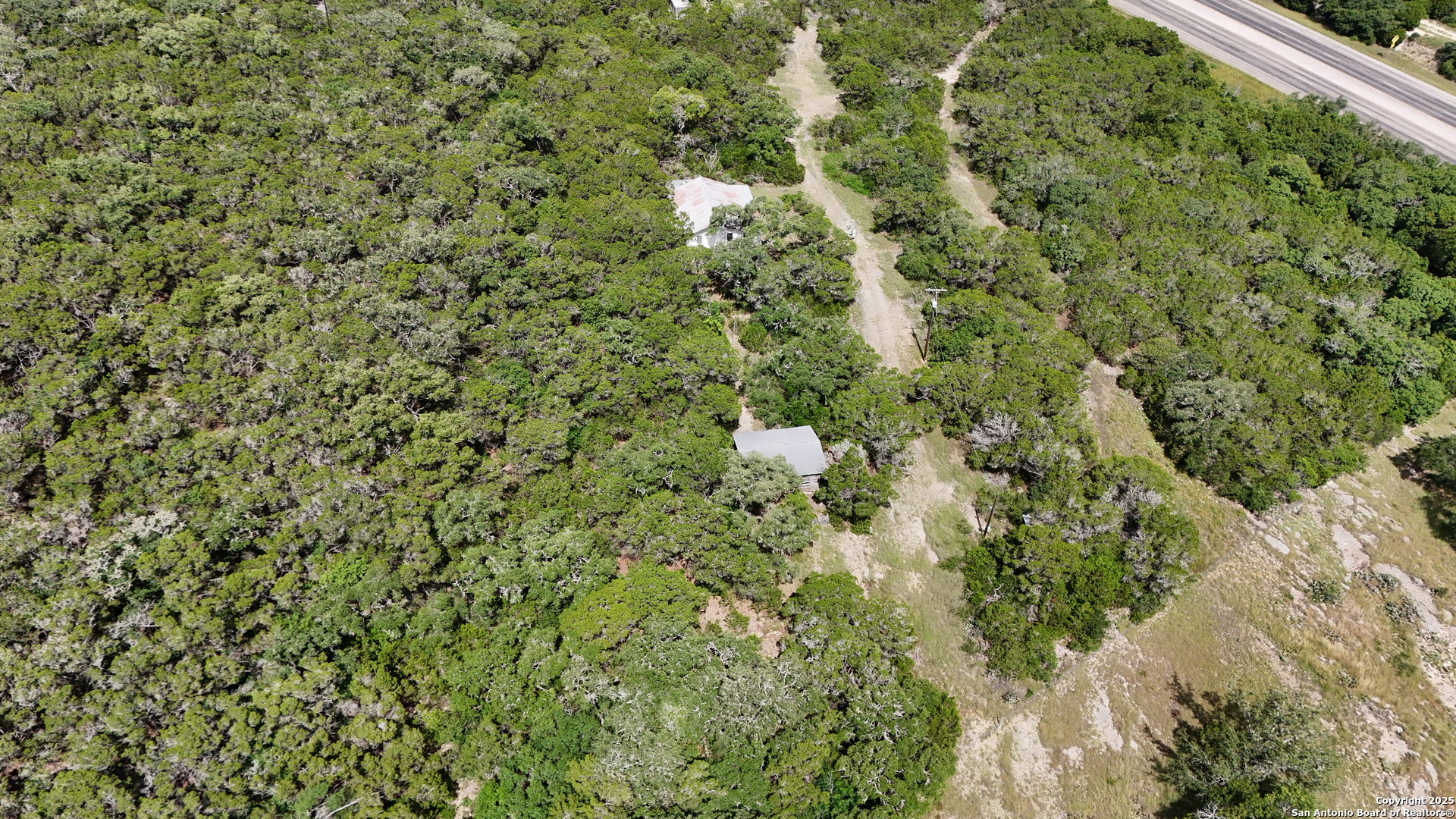 19031 Bandera Road Helotes, TX 78023 - Photo 20 of 37 a view of a forest with a tree