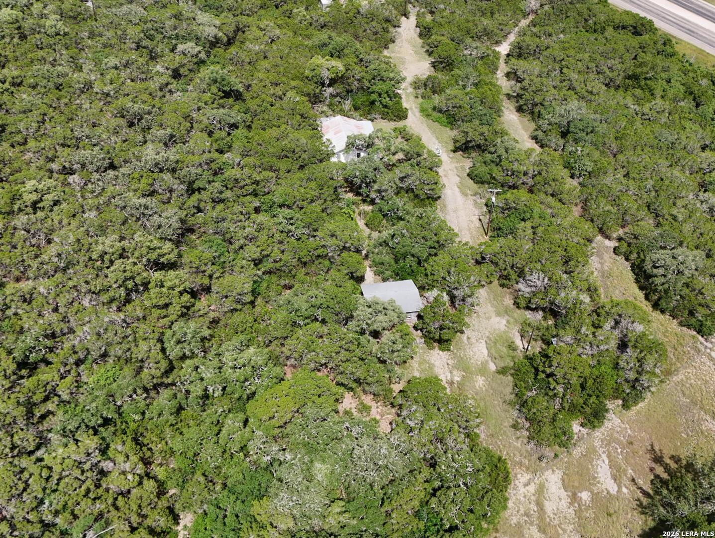 19031 Bandera Road Helotes, TX 78023 - Photo 21 of 37 a view of a forest with a tree