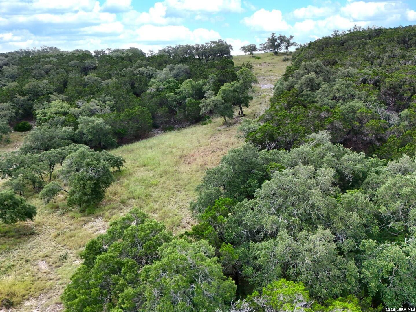 19031 Bandera Road Helotes, TX 78023 - Photo 23 of 37 an aerial view of forest