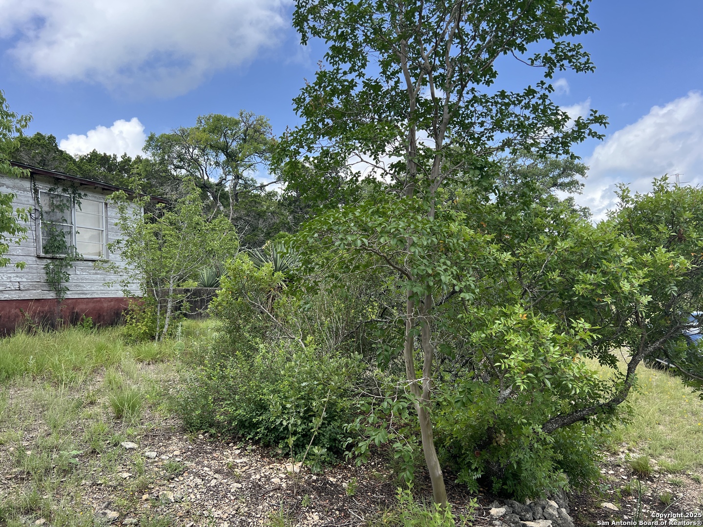 19031 Bandera Road Helotes, TX 78023 - Photo 29 of 37 a view of a yard with plants and a bench