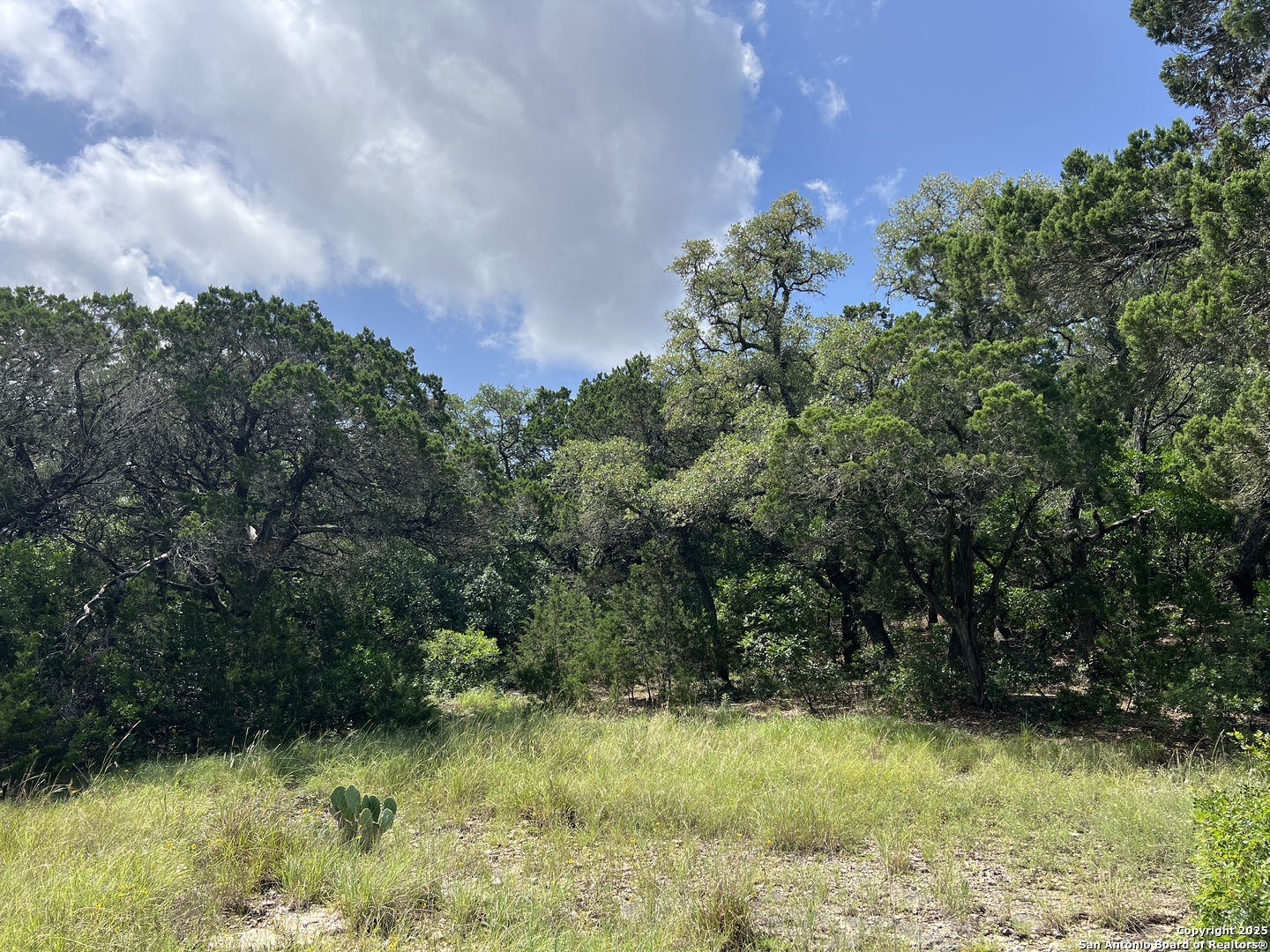 19031 Bandera Road Helotes, TX 78023 - Photo 4 of 37