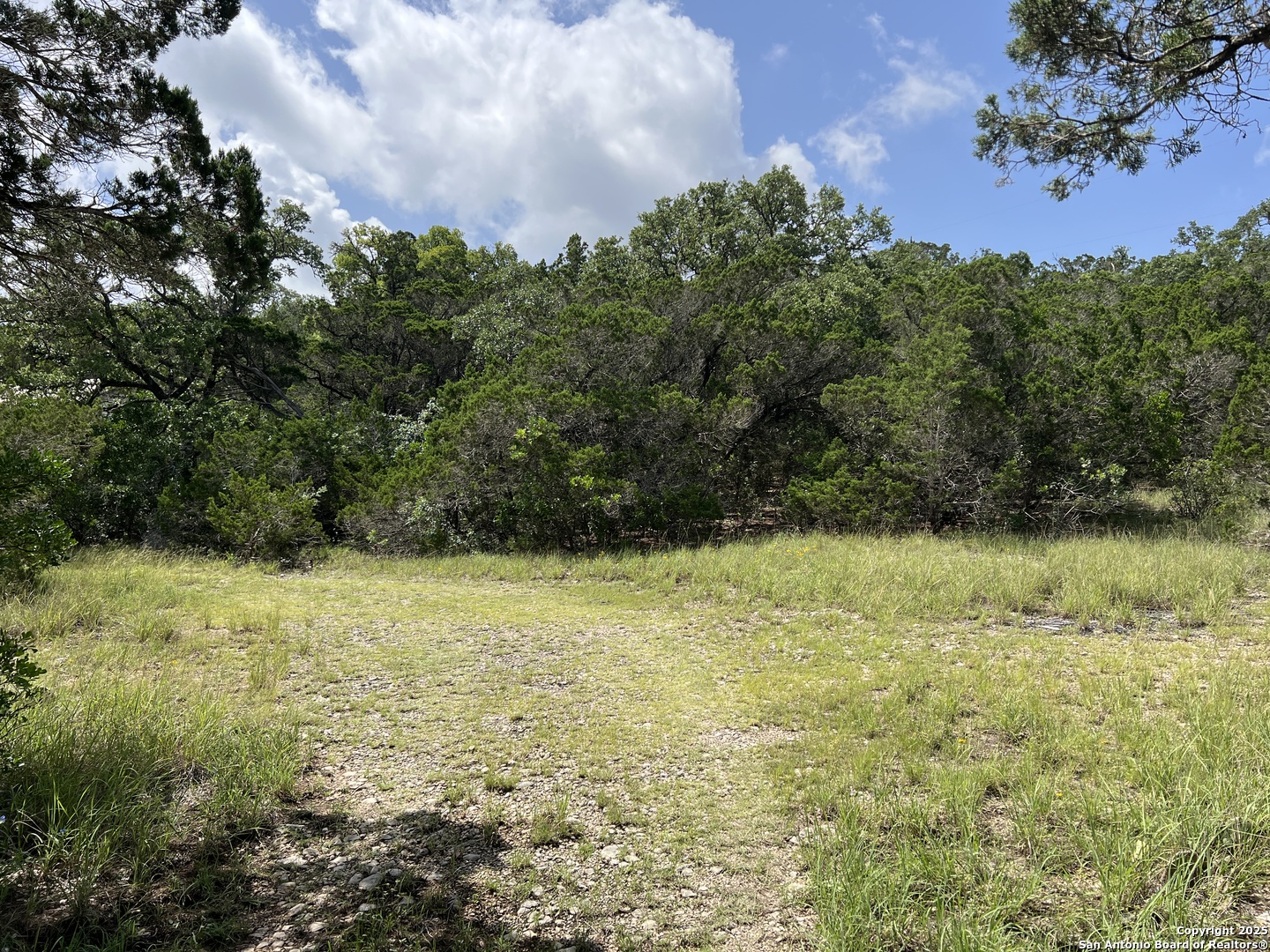 19031 Bandera Road Helotes, TX 78023 - Photo 5 of 37 a view of a yard