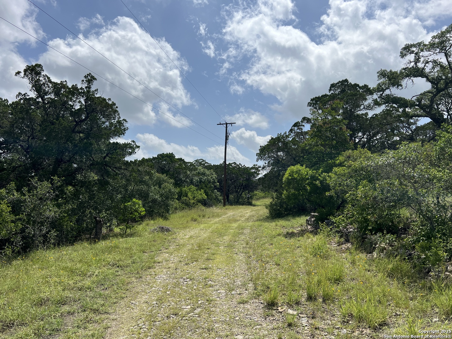 19031 Bandera Road Helotes, TX 78023 - Photo 6 of 37 a view of a bunch of trees and bushes
