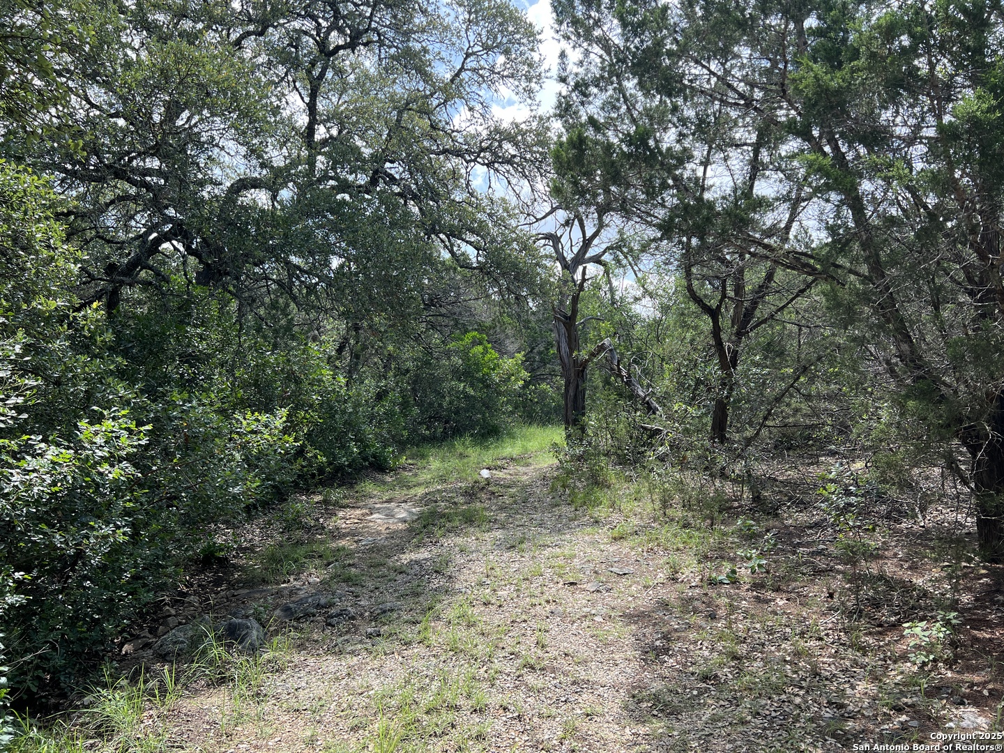 19031 Bandera Road Helotes, TX 78023 - Photo 7 of 37 a view of a forest with trees in the background
