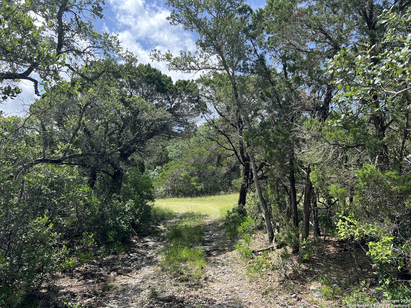 19031 Bandera Road Helotes, TX 78023 - Photo 9 of 37 a view of a lake with large trees