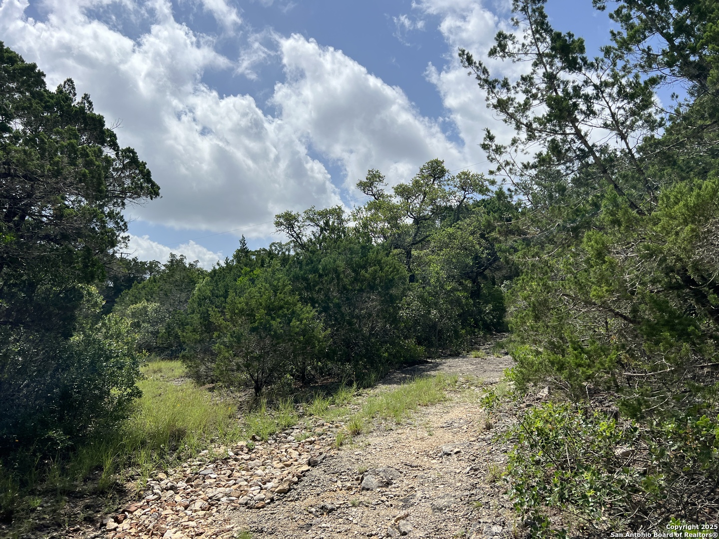 19031 Bandera Road Helotes, TX 78023 - Photo 10 of 37 a view of a yard with a tree