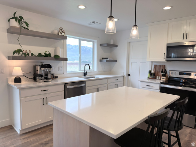 3607 South Parkinson Road South Franklin, ID 83237 - Photo 7 of 24 Kitchen featuring stainless steel appliances, white cabinets, open shelves, dark wood finished floors, and a kitchen bar