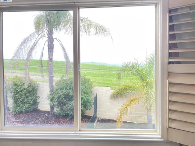 a view of swimming pool from a window