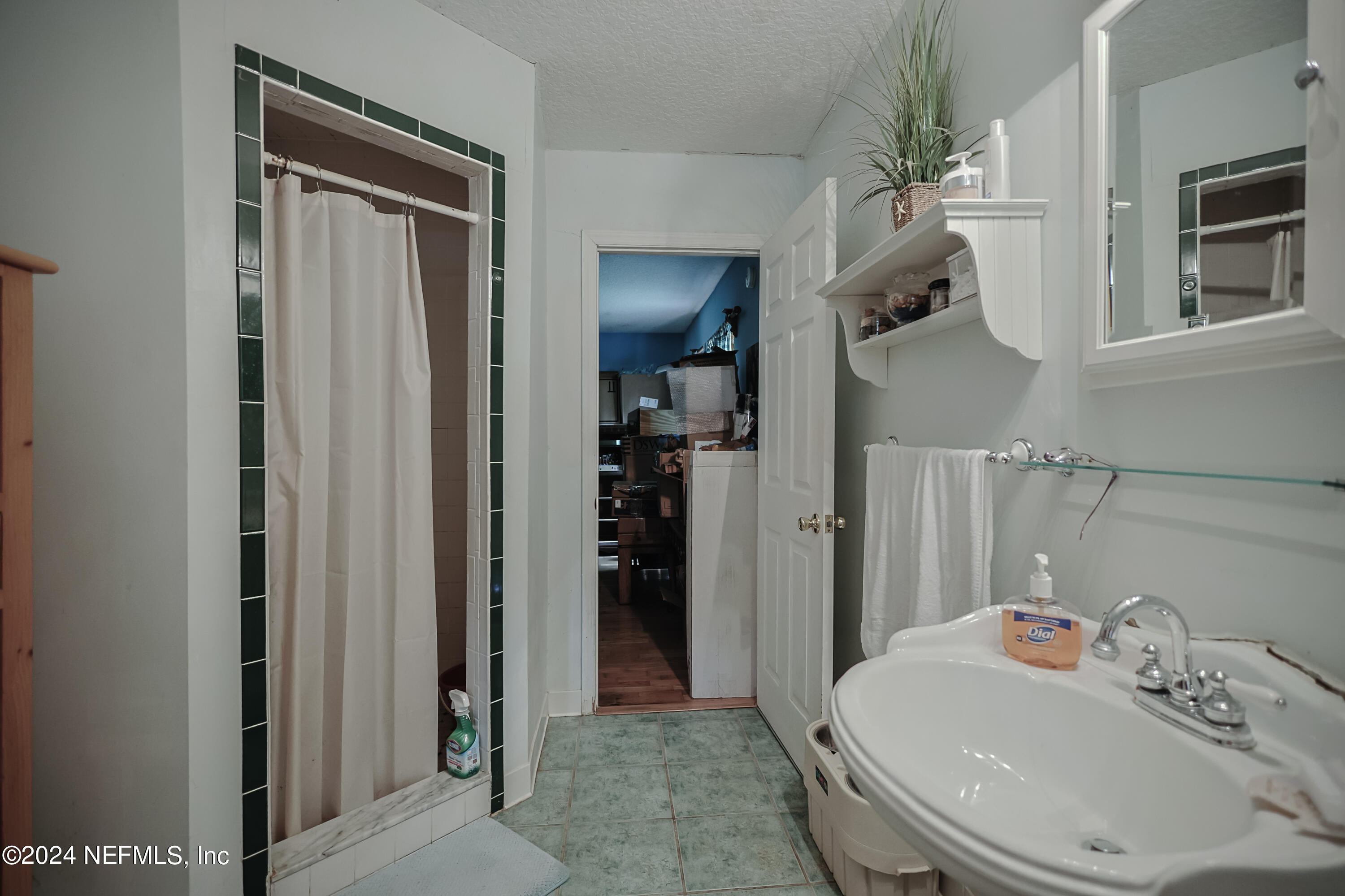233 Knight Boxx Road Middleburg, FL 32068 - Photo 29 of 33 downstairs bath