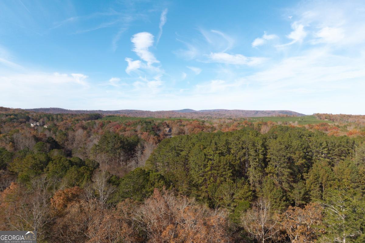 1045 Fincher Road Canton, GA 30114 - Photo 69 of 69