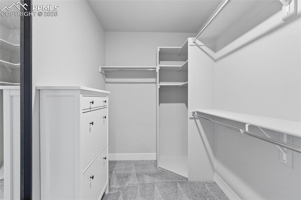 15777 Little Bluestem Road Monument, CO 80132 - Photo 37 of 50 a view of walk in closet with empty racks