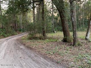 3163 Lannie Road Jacksonville, FL 32218 - Photo 11 of 36 a view of a forest filled with trees