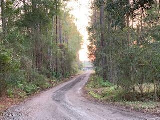 3163 Lannie Road Jacksonville, FL 32218 - Photo 12 of 36 a view of a pathway of a forest