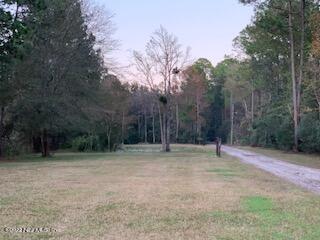 3163 Lannie Road Jacksonville, FL 32218 - Photo 3 of 36 a view of outdoor space with trees