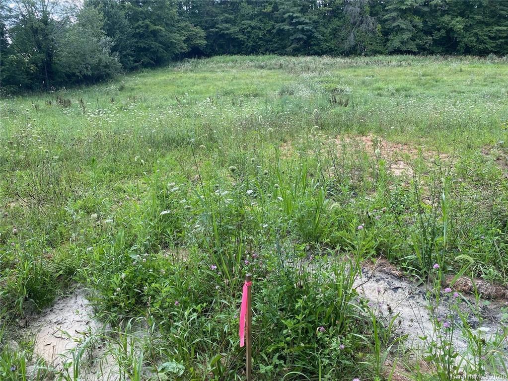 857 Townsend Road, Unit 3 Hendersonville, NC 28792 - Photo 2 of 6 a view of a green field with lots of bushes