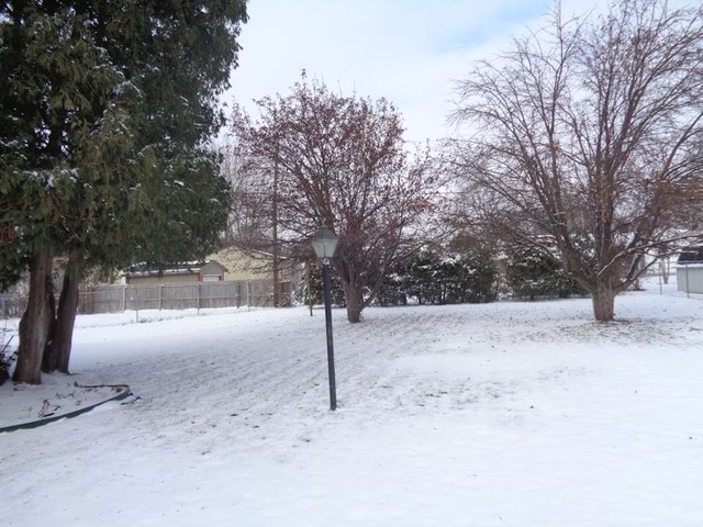 102 Cleveland Avenue Rochelle, IL 61068 - Photo 14 of 14 a view of yard covered with snow in front of house