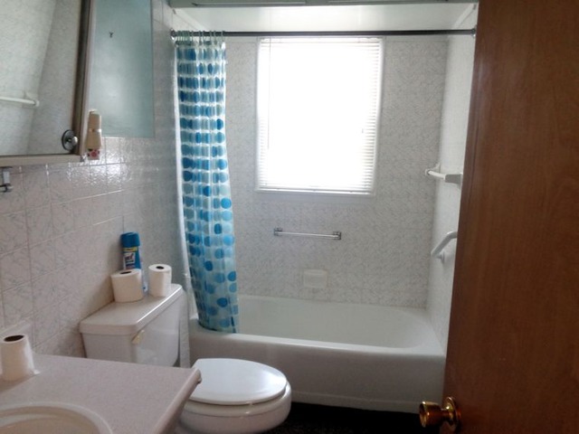 102 Cleveland Avenue Rochelle, IL 61068 - Photo 7 of 14 a bathroom with a bathtub and a shower