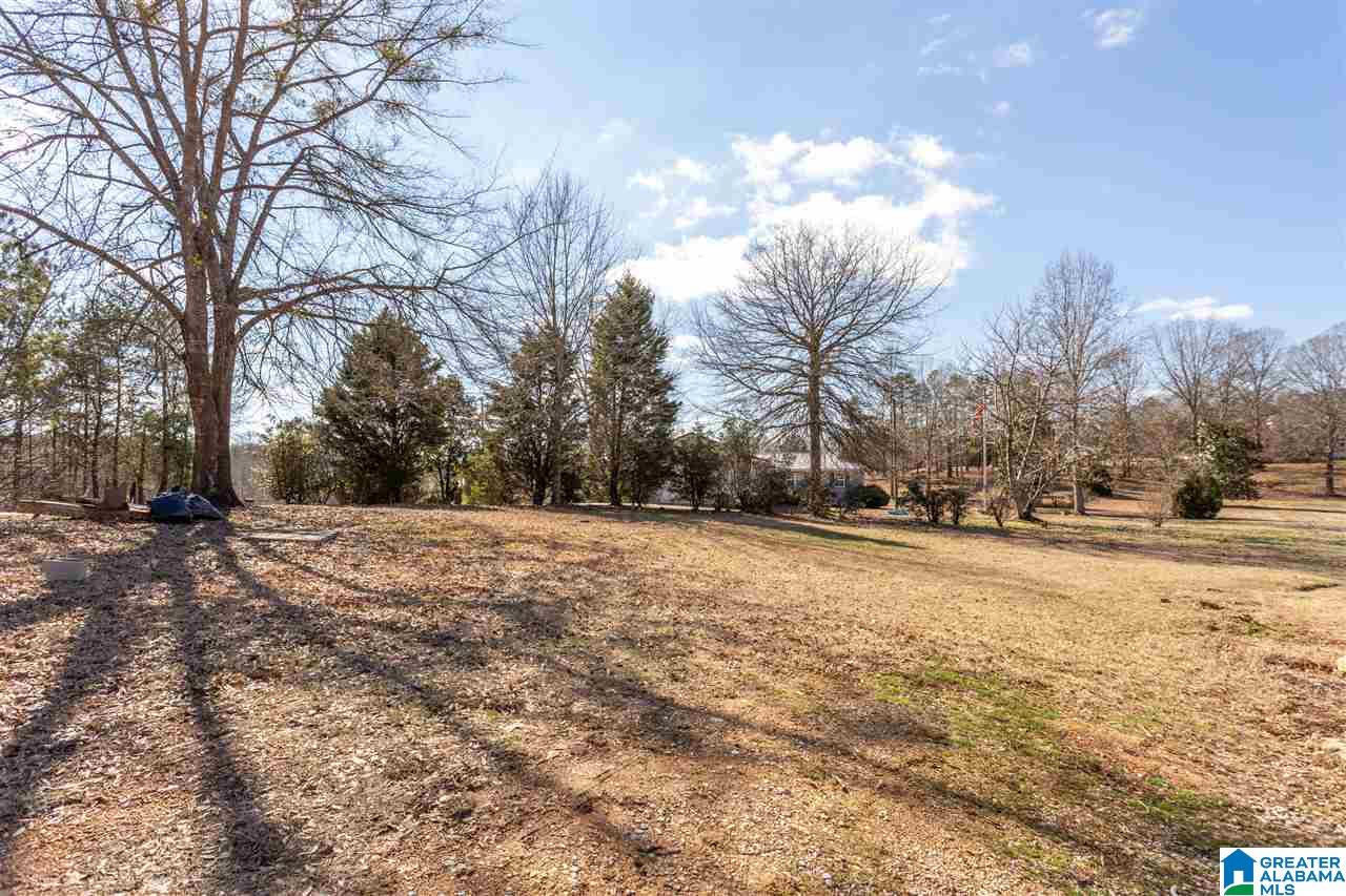 68 Meadowview Circle Munford, AL 36268 - Photo 29 of 37