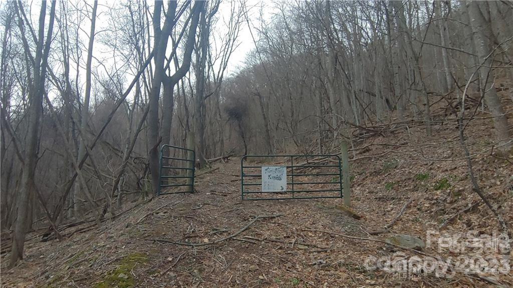 0 Poplar Cove Road Clyde, NC 28721 - Photo 16 of 17 a view of a backyard