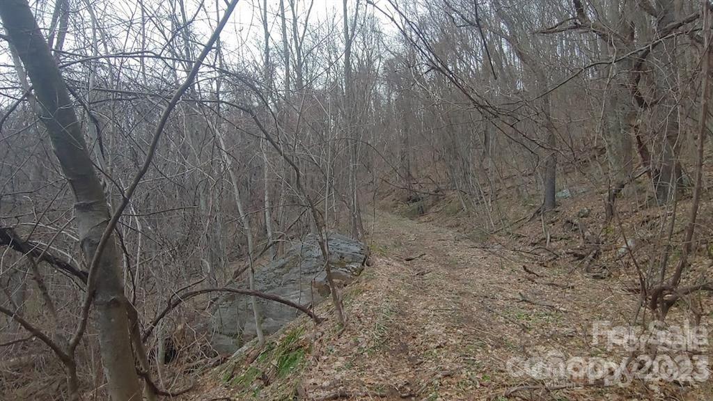 0 Poplar Cove Road Clyde, NC 28721 - Photo 17 of 17 a backyard of a house with lots of green space