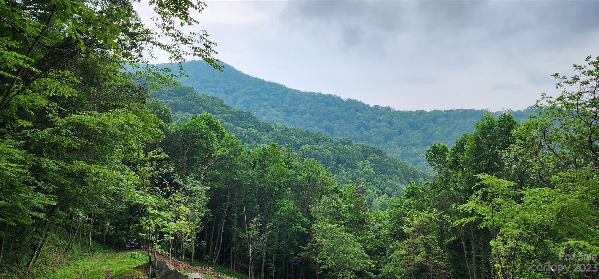 0 Poplar Cove Road Clyde, NC 28721 - Photo 3 of 17 a view of a mountain range with trees in the background