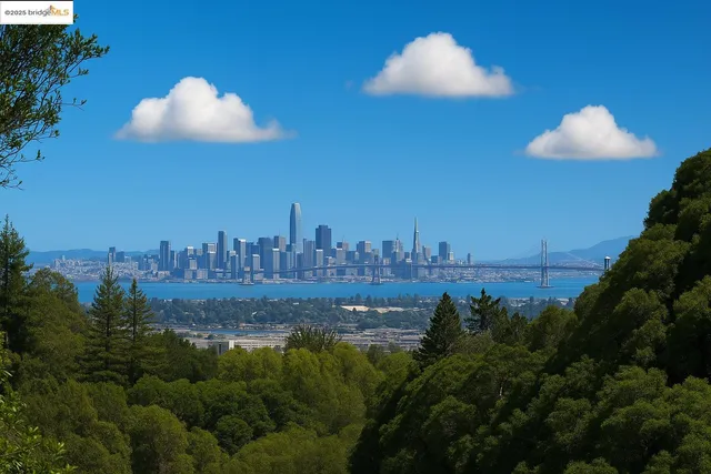 a view of a lake and a yard
