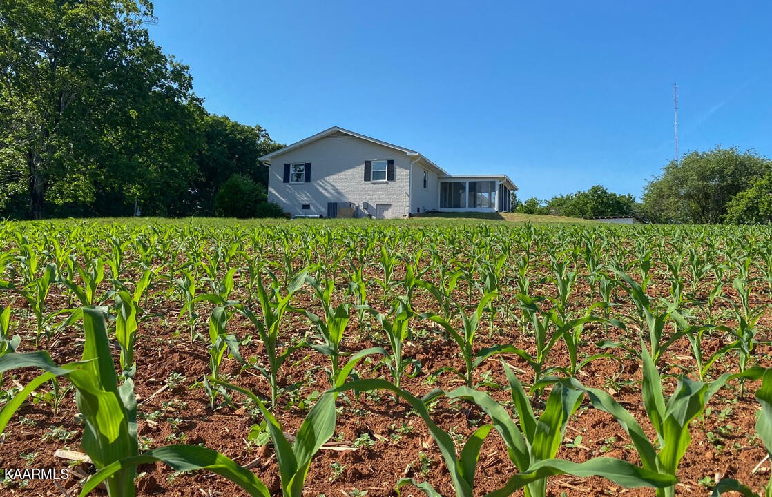 3877 Riverview Road Lenoir City, TN 37771 - Photo 40 of 47 a front view of a house with a yard