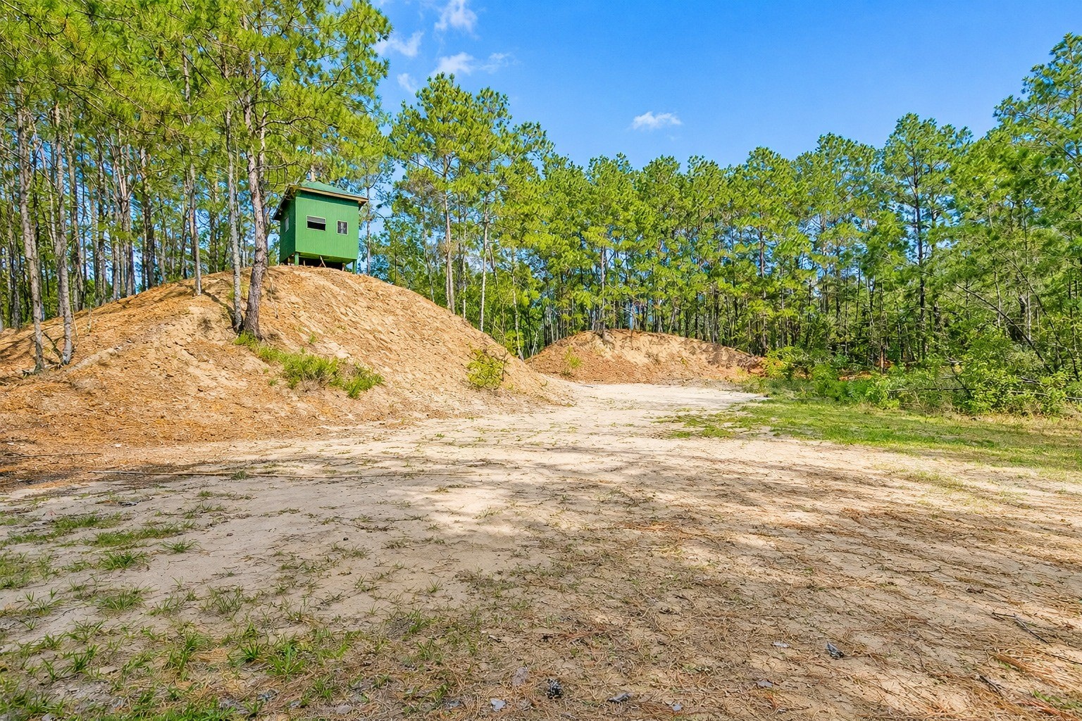 157 Oates Brothers Road Trinity, TX 75862 - Photo 6 of 10 a view of a backyard of the house