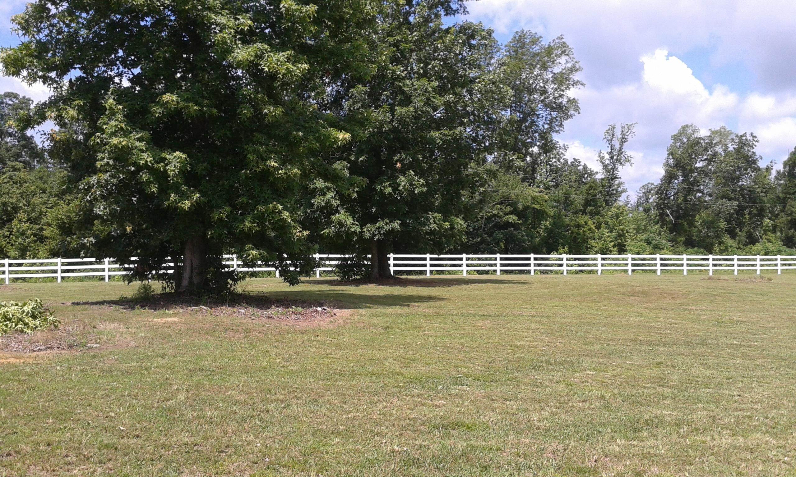 0 Mayhall Road Counce, TN 38326 - Photo 3 of 10 Gallery Image 3