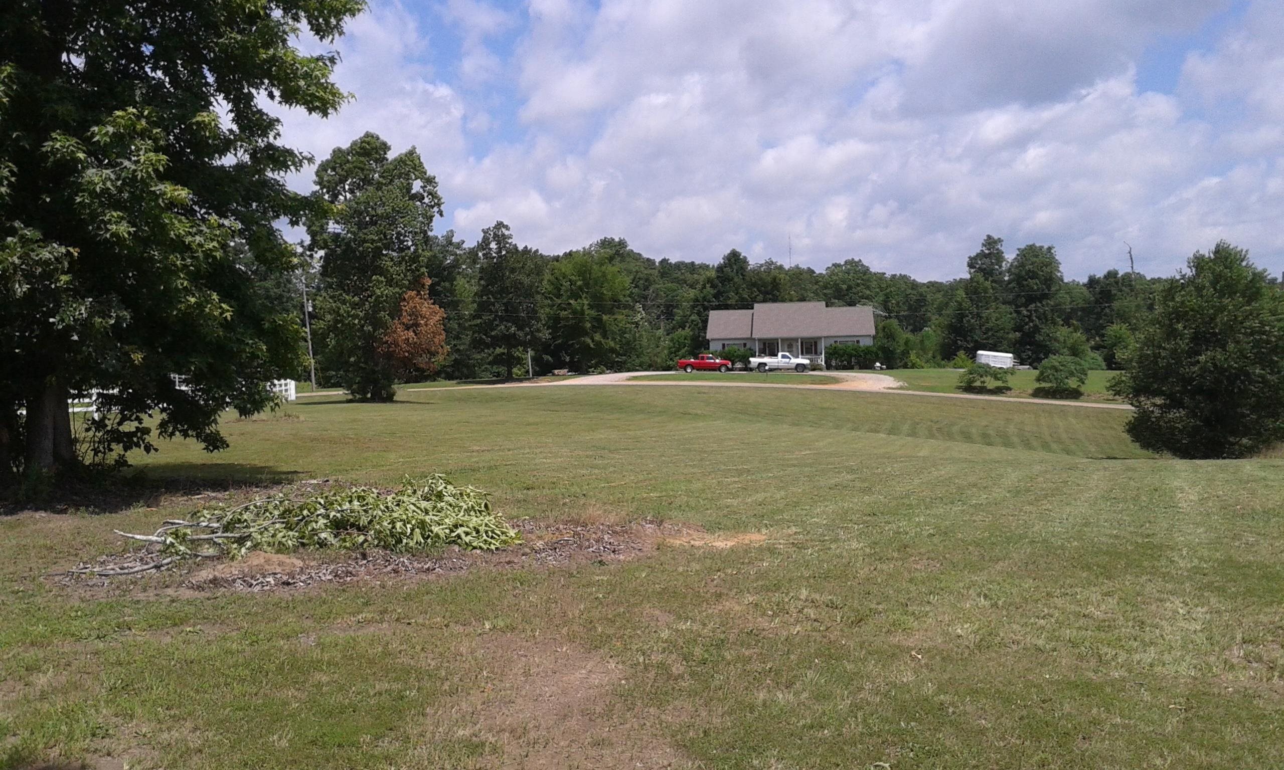 0 Mayhall Road Counce, TN 38326 - Photo 4 of 10 Gallery Image 4