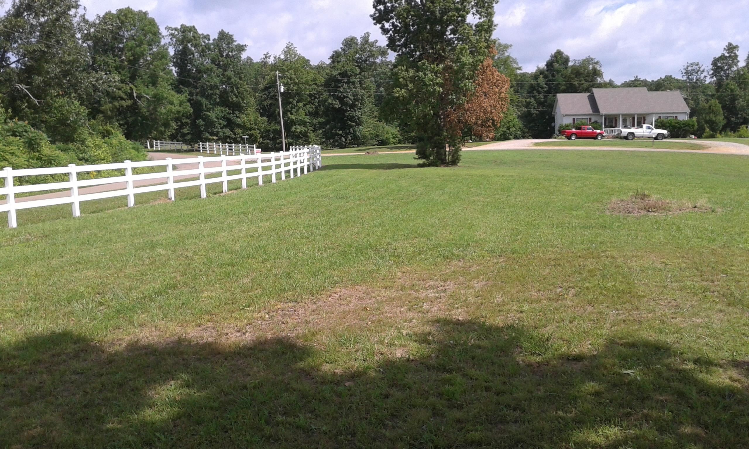 0 Mayhall Road Counce, TN 38326 - Photo 6 of 10 Gallery Image 6